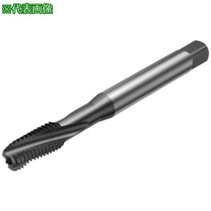 ��SANDVIK �R���^�b�v300 �X�p�C�����^�b�v(781) B150�k�i��:T300XM101DAM42�l�y3134338:0�z[�����ʓr���ς�][�f�O���][�X�����s��]