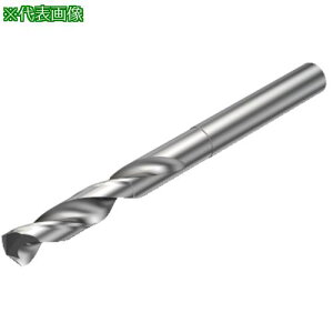 SANDVIK Rh863 d\bhh(720) H10Fki:863.11114043A1OSly3139071:0z[ʓrς][fO][Xs]