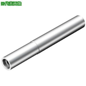 ��SANDVIK �~���V�����N �R���}���gEH�A�_�v�^(445)�k�i��:AEH10A10SH100�l�y3149319:0�z[�����ʓr���ς�][�f�O���][�X�����s��]