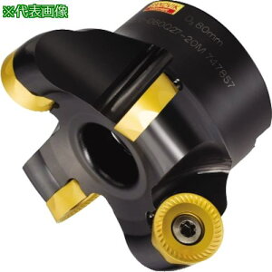 ��SANDVIK �R���~��200 ���ʃt���C�X�J�b�^�[(450)�k�i��:RA200038R1913HHD�l�y3151183:0�z[�����ʓr���ς�][�f�O���][�X�����s��]