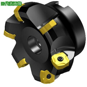��SANDVIK �R���~��365 ���ʃt���C�X�J�b�^�[(450)�k�i��:RA365076R25S15H�l�y3151203:0�z[�����ʓr���ς�][�f�O���][�X�����s��]