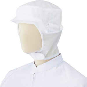 ~hS HiLbv SC03W(V䃁bV^Cv) zCg t[ki:SC03WFly3216184:0z[ʓrς][fO][Xs]