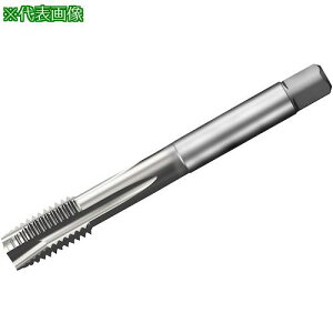 SANDVIK R^bv200 |Cg^bv(781) C150ki:T200XM101DAM16ly3267582:0z[ʓrς][Xs]