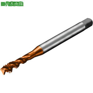 ��SANDVIK �R���^�b�v300 �X�p�C�����^�b�v(781) C110�k�i��:T300XM100AAM6�l�y3267990:0�z[�����ʓr���ς�][�X�����s��]