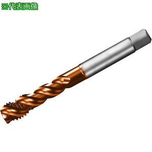 ��SANDVIK �R���^�b�v300 �X�p�C�����^�b�v(781) B110�k�i��:T300XM101DAM24�l�y3268630:0�z[�����ʓr���ς�][�X�����s��]