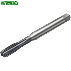 ��SANDVIK �R���^�b�v100 �X�g���[�g�^�b�v(780) D210�k�i��:T100KM108DAM10�l�y3268636:0�z[�����ʓr���ς�][�X�����s��]