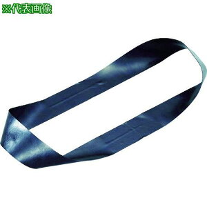 TRUSCO Soh pohO 20mm×܌a300mm ubN 10{ki:TRBR20300BKly3373720:0z[Xs]