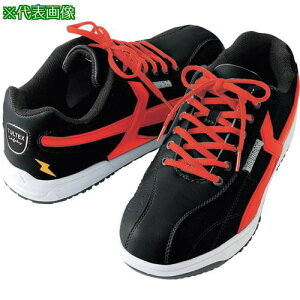 ACgX Z[teBV[Y ubNXbh 30.0ki:AZ5162201030.0ly3374872:0z[ʓrς][Xs]