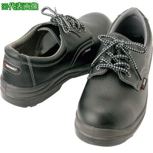 ACgX Z[teBV[Y(E^~hZCq)25.5cmki:AZ5980171025.5ly3379181:0z[ʓrς][fO][Xs]