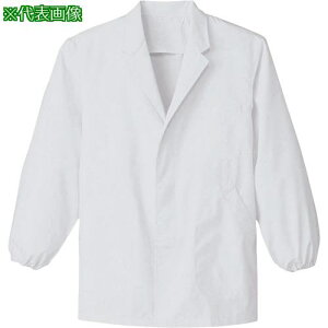 TybNX  Y  ܕt  ~[ HX jtH[ zCg 4Lki:KG3104Lly3381427:0z[@lEƏ][][Xs]