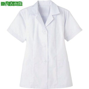 TybNX  fB[X  ܕt  ~[ HX jtH[ zCg 3Lki:FA3373Lly3381437:0z[@lEƏ][][Xs]