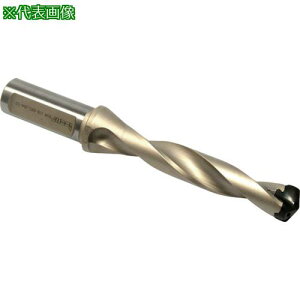 ���C�X�J�� �J���h�����W�F�b�g�k�i��:DSM18005425A3D�l�y3385787:0�z[�����ʓr���ς�][�f�O���][�X�����s��]