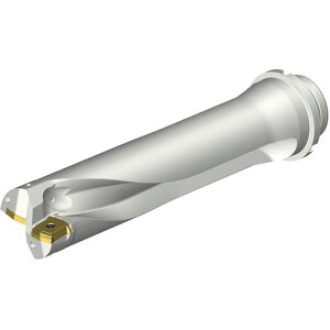 ��SANDVIK �R���h����DS20�n��������h����(465)�k�i��:DS20D5300DM5004�l�y3394113:0�z[�����ʓr���ς�][�@�l�E���Ə�����][�X�����s��]