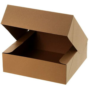 HEIKO NGCg{bNX Ntg CR-1 10ki:006860000ly3420157:0z[ʓrς][fO][Xs]