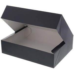 HEIKO Mtg R{bNX n SF-55 10ki:006860255ly3426461:0z[ʓrς][fO][Xs]