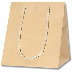 ��HEIKO ��񂰎��� �A�����W�o�b�O ���N���n SS 10������k�i��:006441133�l�y3427951:0�z[�����ʓr���ς�][�f�O���][�X�����s��]