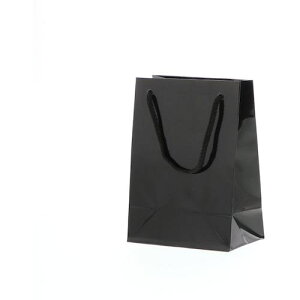 ��HEIKO ��񂰎��� �u���C�g�o�b�O �� T-4 10������k�i��:006143201�l�y3431106:0�z[�����ʓr���ς�][�f�O���][�X�����s��]