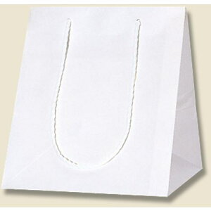 ��HEIKO ��񂰎��� �A�����W�o�b�O �����n SS 10������k�i��:006441103�l�y3432637:0�z[�����ʓr���ς�][�f�O���][�X�����s��]