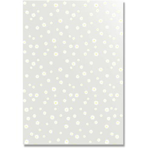 HEIKO OPP NX^pbN u[ LL-1 50ki:006968209ly3435895:0z[ʓrς][fO][Xs]