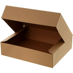 HEIKO NGCg{bNX Ntg CR-2 10ki:006860001ly3440539:0z[ʓrς][fO][Xs]