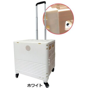 O[NX L[ReiL 4փ^Cv t^t K-247 WHki:6300021041ly3462598:0z[@lEƏ][][Xs]