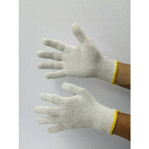 xm ȓ{RLi 500gs10Dztki:48451ly3464902×10:0z[ʓrς][@lEƏ][O][Xs]