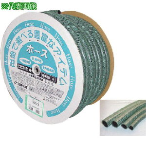 T[ SKWFbgz[X15×19.5 50mhki:SJ15195D50Gly3467736:0z[ʓrς][fO][Xs]