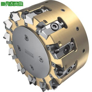 ��SANDVIK �A���~������p�t���C�X�J�b�^�[M5R90(630) CD10�k�i��:5R9010CA08PR5NM�l�y3505694:0�z[�����ʓr���ς�][�@�l�E���Ə�����][�f�O���][�X�����s��]