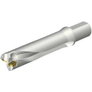 ��SANDVIK �R���h����DS20�n��������h����(465)�k�i��:DS20D5600L5004�l�y3510952:0�z[�����ʓr���ς�][�f�O���][�X�����s��]