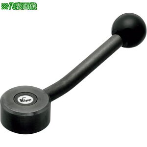��kipp �t���b�g�e���V�������o�[�k�i��:FTFB10�l�y3512262:0�z[�����ʓr���ς�][�f�O���][�X�����s��]