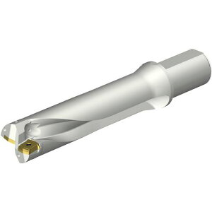 ��SANDVIK �R���h����DS20�n��������h����(465)�k�i��:DS20D5300L5004�l�y3512558:0�z[�����ʓr���ς�][�f�O���][�X�����s��]