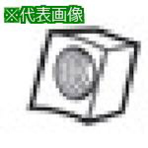 ���^���K���C ���i �C���T�[�g������k�i��:WF310R�l�y3513254:0�z[�X�����s��]