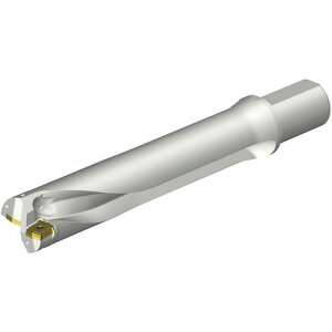 ��SANDVIK �R���h����DS20�n��������h����(465)�k�i��:DS20D5600L5005�l�y3517247:0�z[�����ʓr���ς�][�f�O���][�X�����s��]