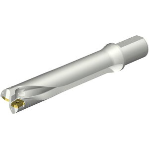 ��SANDVIK �R���h����DS20�n��������h����(465)�k�i��:DS20D5300L5005�l�y3517273:0�z[�����ʓr���ς�][�f�O���][�X�����s��]