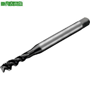 ��SANDVIK �R���^�b�v300 �X�p�C�����^�b�v(780) P1PM�k�i��:T300PM100JBM6X075�l�y3518297:0�z[�X�����s��]