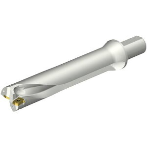 ��SANDVIK �R���h����DS20�n��������h����(465)�k�i��:DS20D5080LX3805�l�y3518831:0�z[�����ʓr���ς�][�X�����s��]