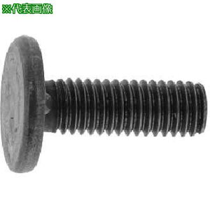 ��SUNCO SUSXM7�E�G���hBT �ˋN3 8×30 (9�{��)�k�i��:0002080000800300009P�l�y3540751:0�z[�����ʓr���ς�][�f�O���][�X�����s��]