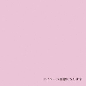 O[NX EbhbNpl J[ pXesN 5mm 910×1820 F 20ki:6300020600ly3544113:0z[@lEƏ][O][Xs]