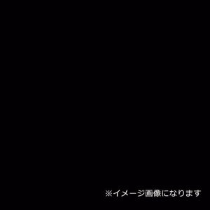 O[NX EbhbNpl J[  5mm 760×1080 F 40ki:6300020521ly3545690:0z[@lEƏ][O][Xs]