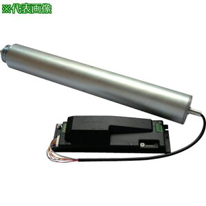 ���E�G�X�g�����[���[ �u���V���X���[�^�[���[���[ �P��100V AC�ϑ��^ �O�a48.6�� ����76 ���[���[��300MM�k�i��:1RR48676300�l�y3548165:0�z[�����ʓr���ς�][�@�l�E���Ə�����][����][�X�����s��]