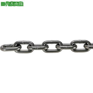 ��TRUSCO JIS F2106����K�i���� �����O�����N�`�F�[�� �X�`�[�� ���� ���a11mm×����5.1M~6.0M�k�i��:TIC11LGM6C�l�y3554831:0�z[�����ʓr���ς�][�@�l�E���Ə�����][����][�X�����s��]