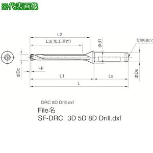 �����Z�� �}�W�b�N�h�����p�z���_ SF-DRC ���H�[��8×DC�k�i��:SF25DRC180M8�l�y3576655:0�z[�X�����s��]