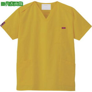 ��FOLK PANTONE�X�N���u �}�X�^�[�h�C�G���[ M�k�i��:7000SC19M�l�y3587624:0�z[�����ʓr���ς�][�X�����s��]