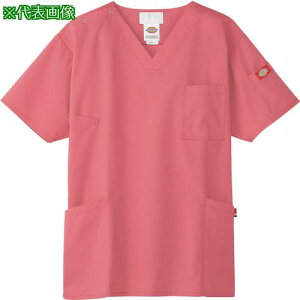 FOLK XNu ~[sN 4Lki:7033SC34Lly3588019:0z[ʓrς][Xs]