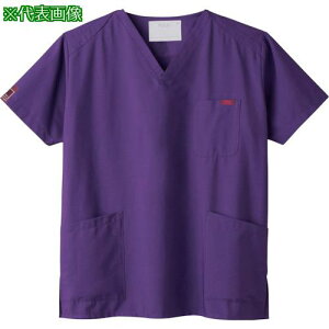 ��FOLK PANTONE�X�N���u �p�[�v�� 3L�k�i��:7000SC103L�l�y3590125:0�z[�����ʓr���ς�][�X�����s��]