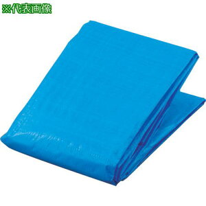 ��TRUSCO �u���[�V�[�g #2000 ��5.4mX����7.2m�k�i��:BS205472�l�y3600106:0�z[�X�����s��]