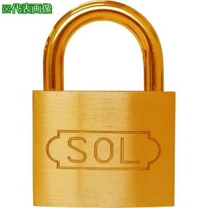 SOL V_[60mm(pbN)ki:2500BP60ly3600939:0z[ʓrς][fO][Xs]