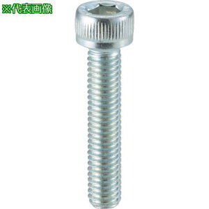 ���R�m�G ���j�N���[���Z�p���t�{���gM6×15(200�{��)�k�i��:CSSS0615�l�y3602494:0�z[�X�����s��]