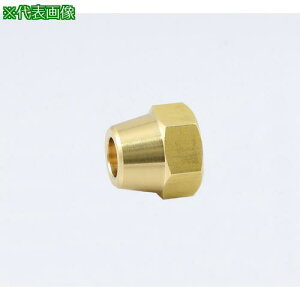 ��ASOH �t���A�[�i�b�g ��10�k�i��:FN1010�l�y3603091:0�z[�X�����s��]