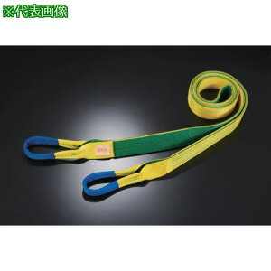 ���c�� R�^�C�v4E 100��×17.0m�k�i��:RE1001700�l�y3617676:0�z[�@�l�E���Ə�����][�O������][�X�����s��]